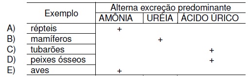 Pode haver uma alergia em vermes